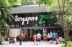 Singapore zoo