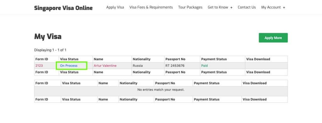 visa status on process