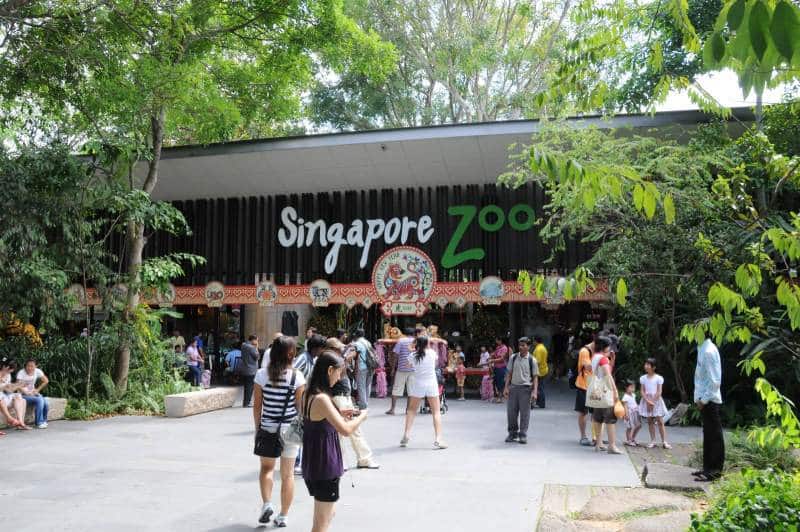 Singapore zoo