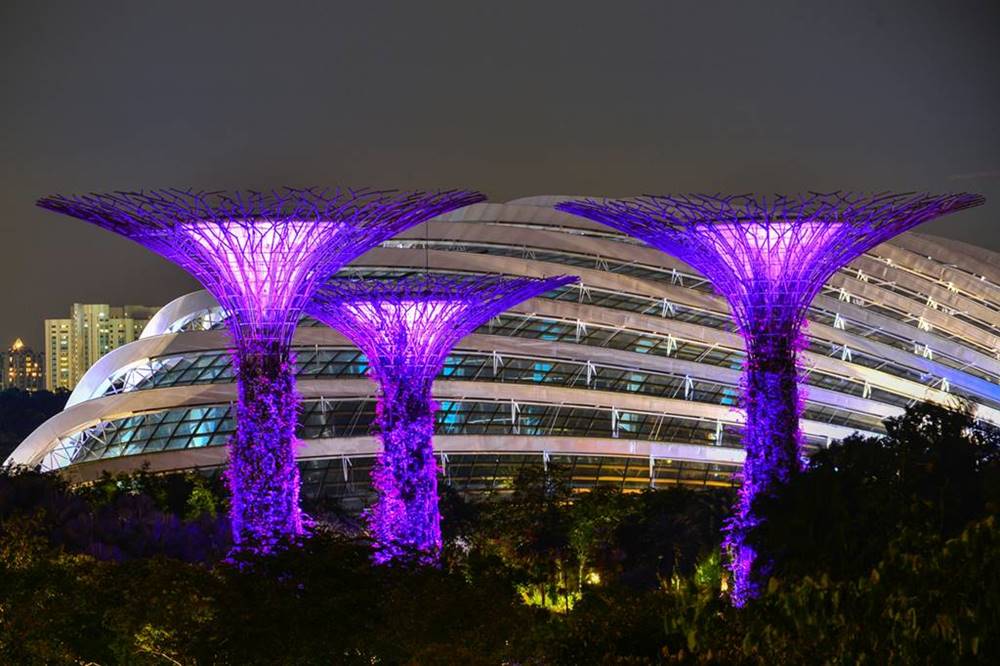 gardens by the bay at night