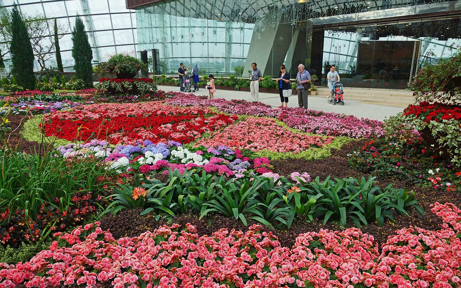 Gardens by the Bay with Sands Sky Park • Singapore Visa Online